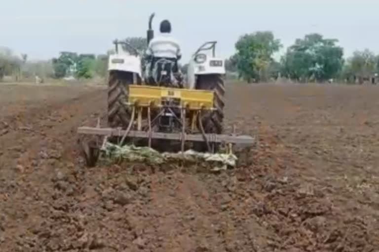 amravati latest news  amravati farming news  amravati sowing news  अमरावती लेटेस्ट न्यूज  अमरावती पेरणी बातमी  अमरावती शेतीविषयक बातमी