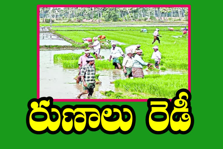 The district authority has prepared a Kharif loan scheme for farmers in krishna district