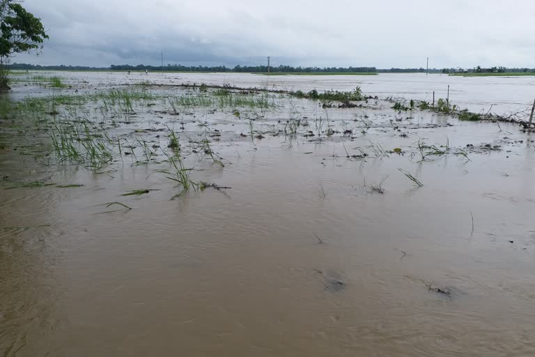 Flood In Dhemaji