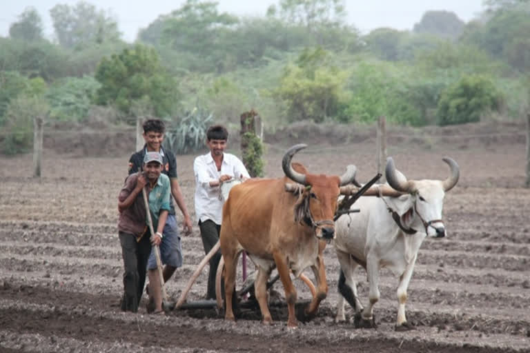 Rajkot district