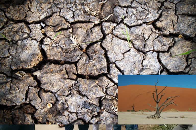 Desertification and Drought Day 17th June etv bharat