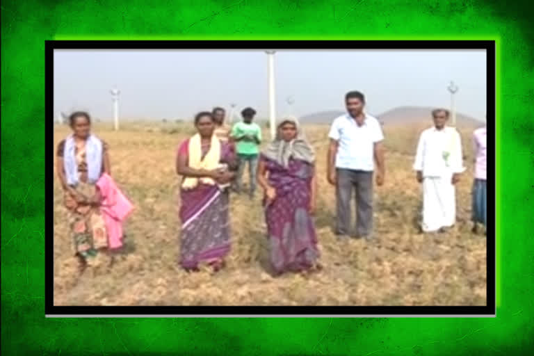 groundnut farmers facing problems in prakasam dst due to not getting average price