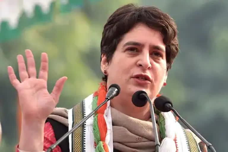 Priyanka Gandhi targets BJP govt in UP over corruption in animal husbandry dept