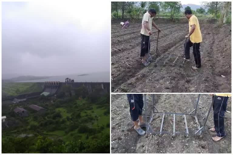 Maval taluka farmers started sowing