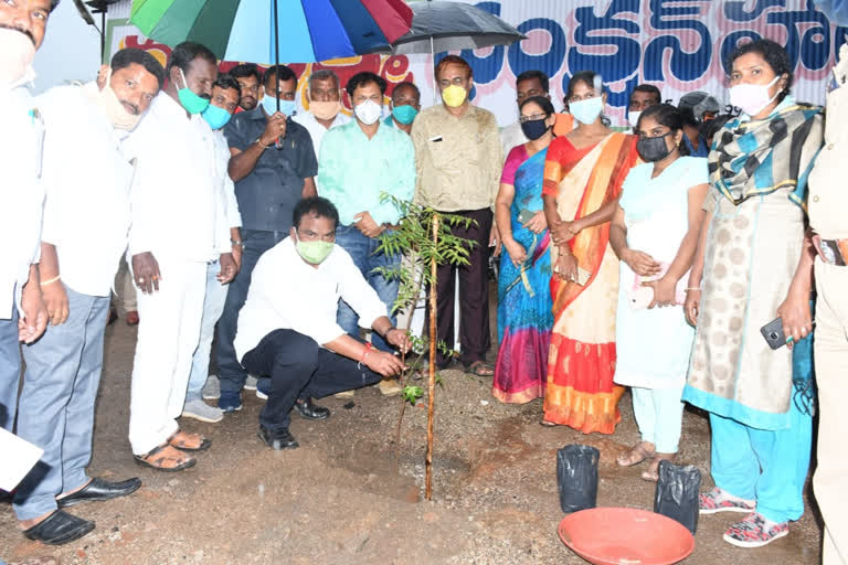 mla sunke ravishankar awareness on harithaharam programme in karimnagar district