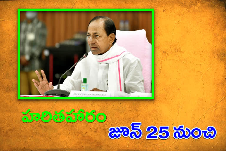 ఈనెల 25 నుంచి ఆరో విడత హరితహారం చేపట్టాలి : సీఎం కేసీఆర్