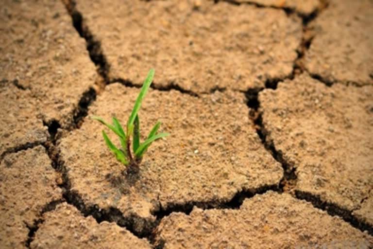 Desertification and drought day World Desertification day பாலைவனமாக்கல், வறட்சி உலக பாலைவனமாக்கல் எதிர்ப்பு தினம் ஐநா சபை DROUGHT CONDITION IN INDIA NDRF FOR DROUGHT Exceptional Dry Dry வறட்சி இந்தியாவில் வறட்சி வறட்சி எதிர்ப்பு தினம் பாலைவனமாக்கல்