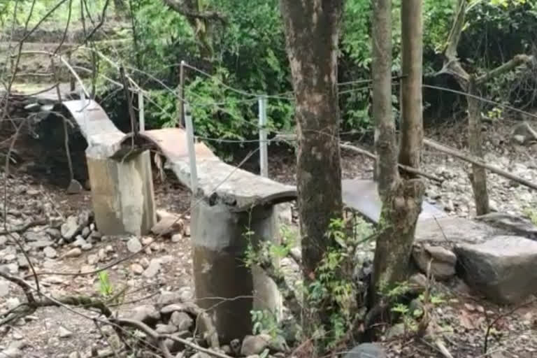 two man builds bridge across small river in during lockdown period at kumbhavade sindhudurg