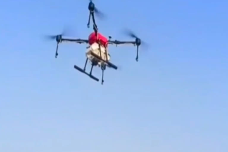 Barmer news, locust teams, drone Spray