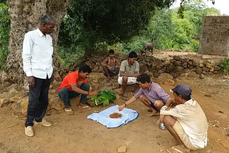Coronavirus: Tribals in Jabalpur consume mahua to boost immunity