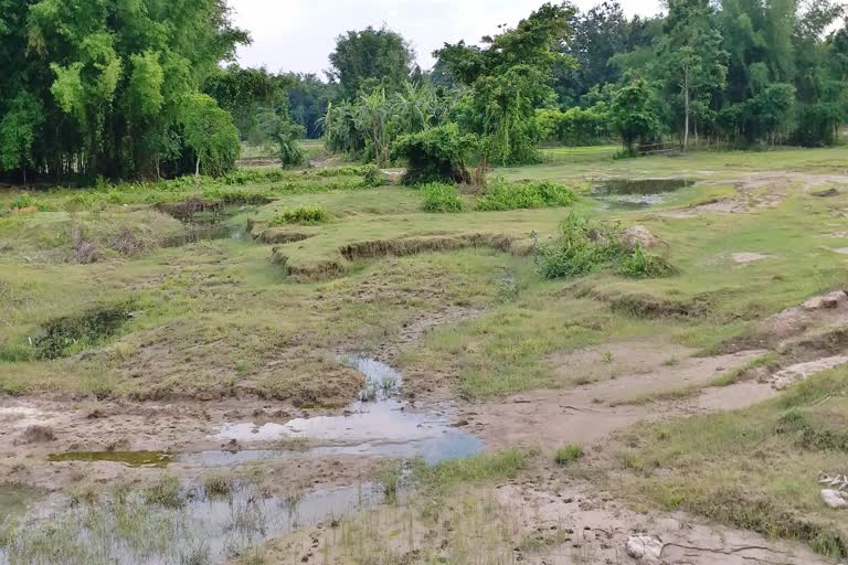 Large tracts of agricultural land in Nalbari turned into sand dunes assam etv bharat news