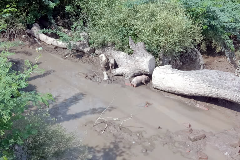 Illegal water connection problem in Ganaur