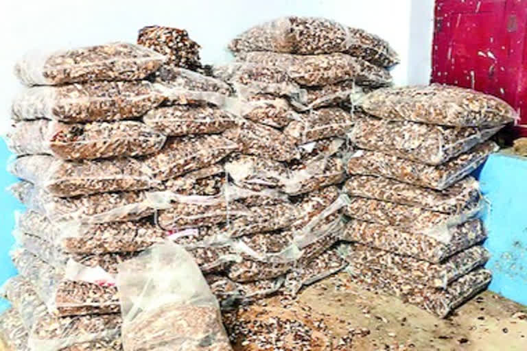 Tamarind exports and imports and labour problems chittoor district