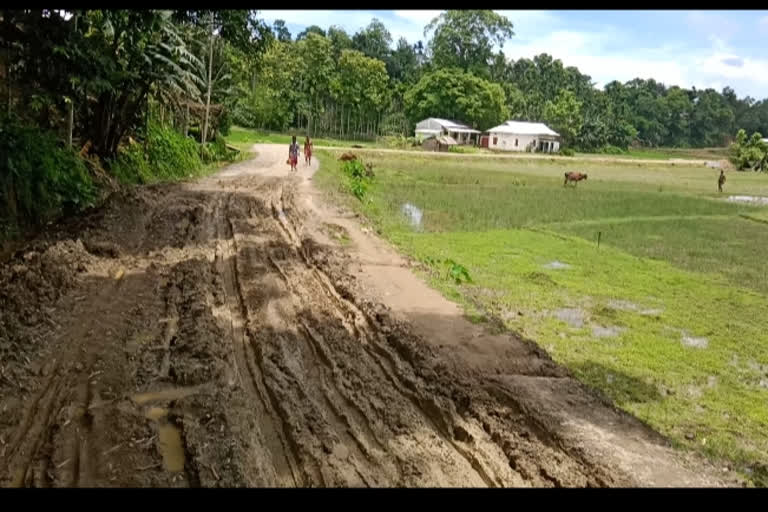 পাথাৰকান্দি সমষ্টিত প্ৰধানমন্ত্ৰী গ্ৰম্য পকী পথ যোজনাত ব্যাপক খেলিমেলিৰ অভিযোগ