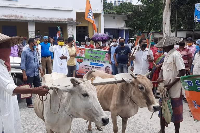 BJP protests at Raiganj BDO office