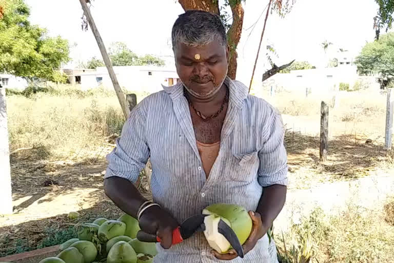 Man loses fingers in jaggery plant, engrave coconut with only 2 fingers