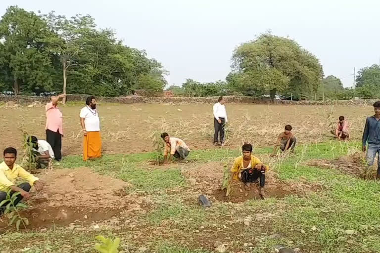 The forest is being built in Mandu