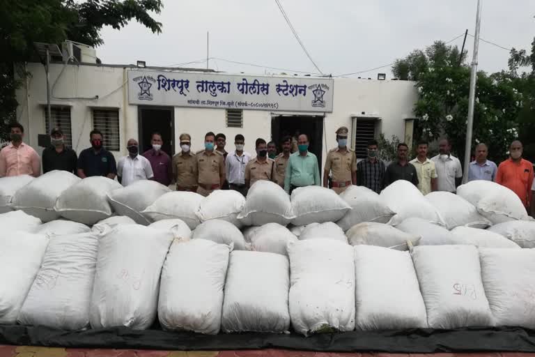 ganja seized from local crime branch in shirpur taluka Dhule