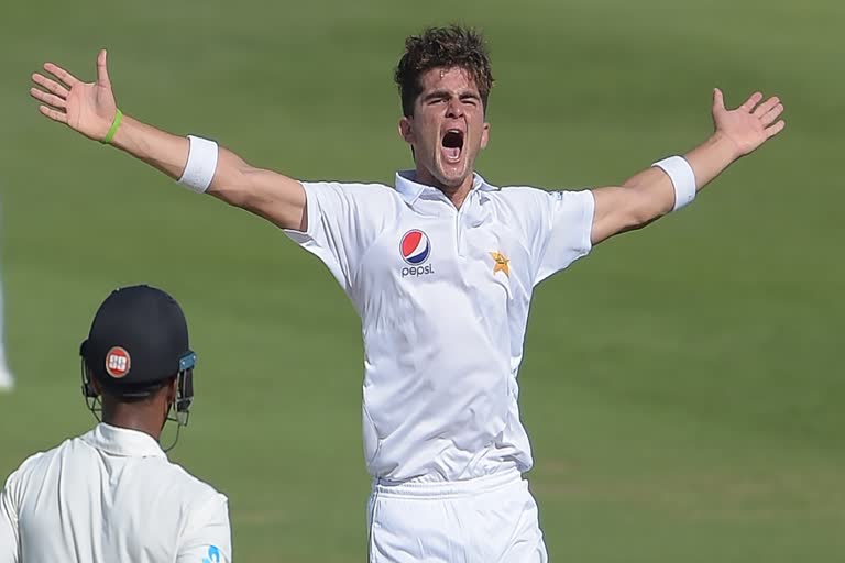 Shaheen Afridi