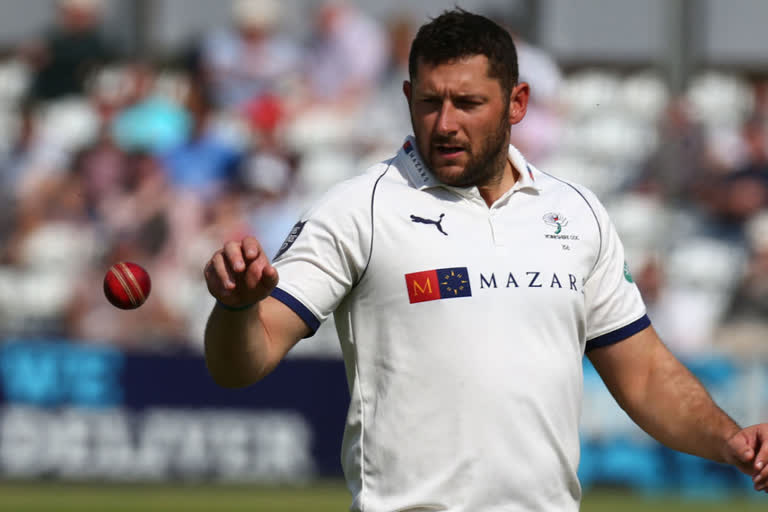 tim bresnan