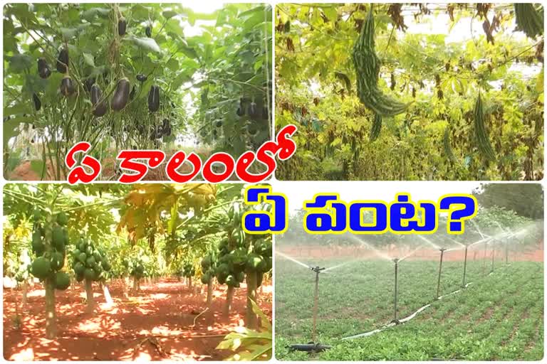 horticulter forming in rangareddy district