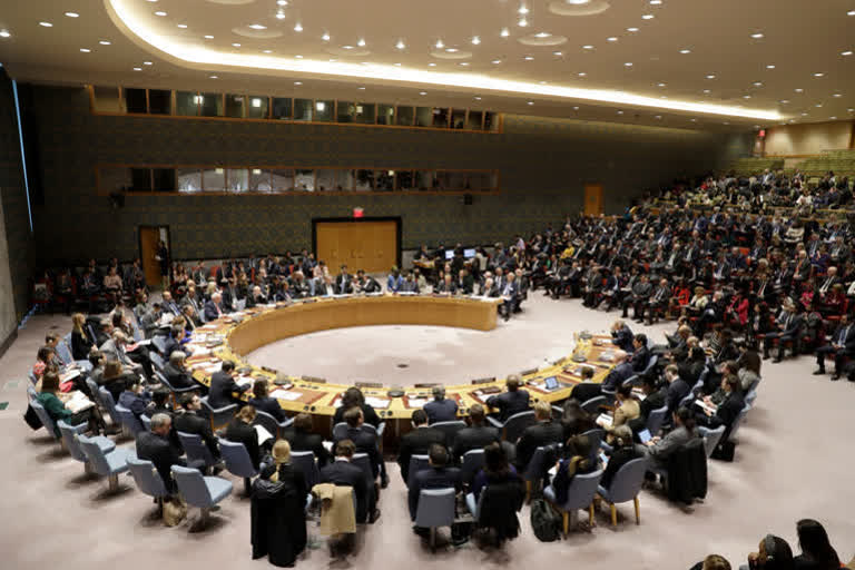 United Nations Security Council