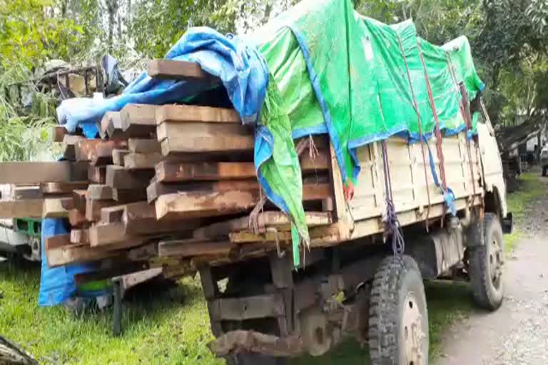 illegal timber seized