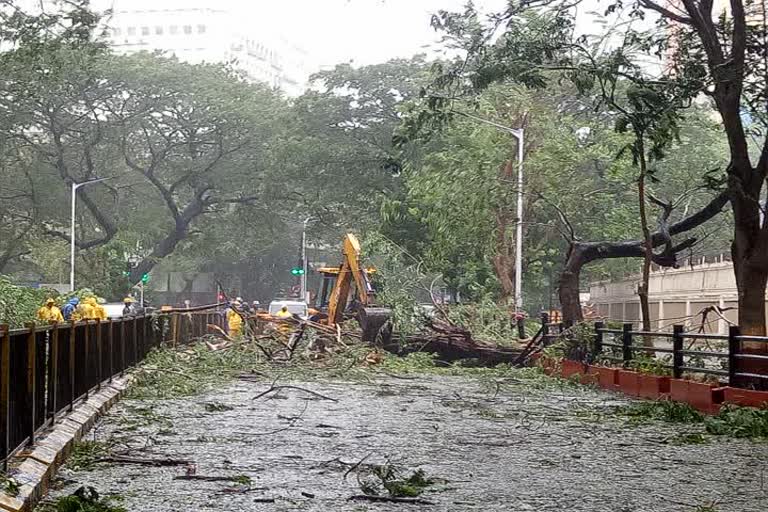 rain in mumbai suburbs on thursday, one dead body found