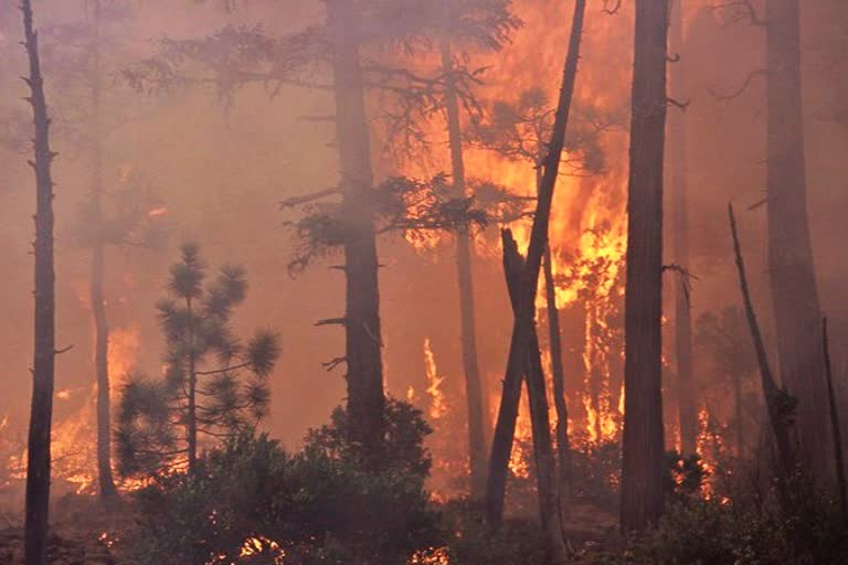 destruction after california-wildfire-