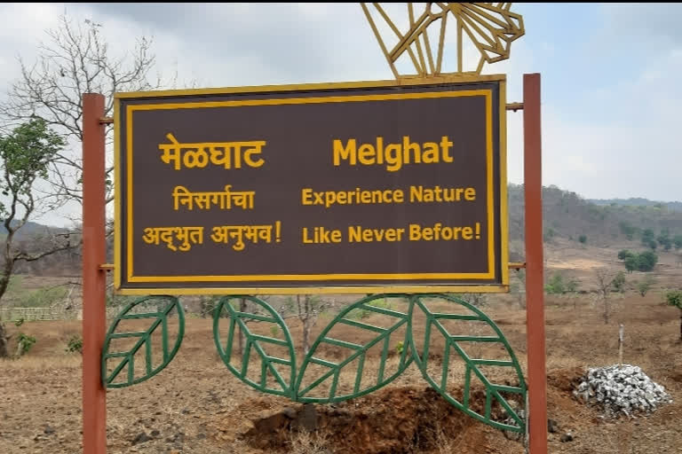 reopen the Melghat Tiger Reserve  from today