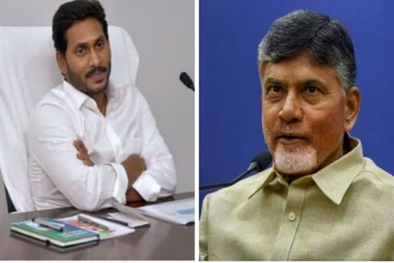 jungle raj  TDP  YSRCP  N Chandrababu Naidu  ஆந்திராவில் காட்டாட்சி  சந்திரபாபு நாயுடு  ஆந்திரா  ஜெகன் மோகன் ரெட்டி