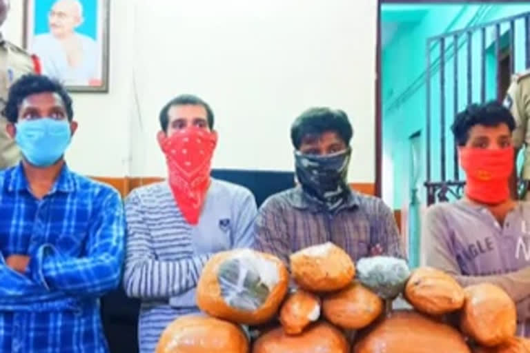 police seized ganja in vijayawada