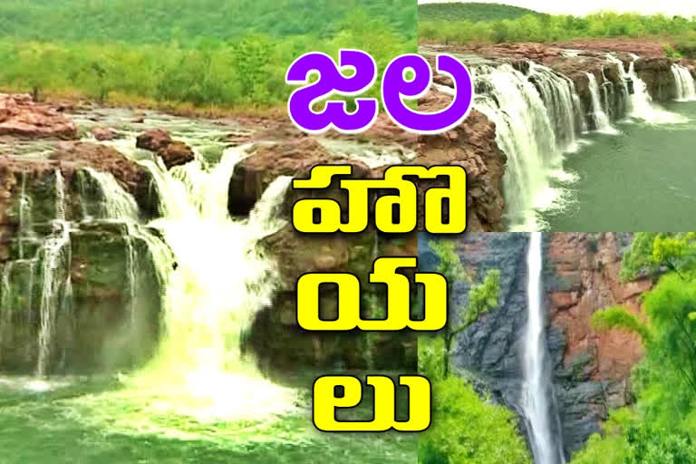 special story on Bogatha and mutyala waterfalls in mulugu district