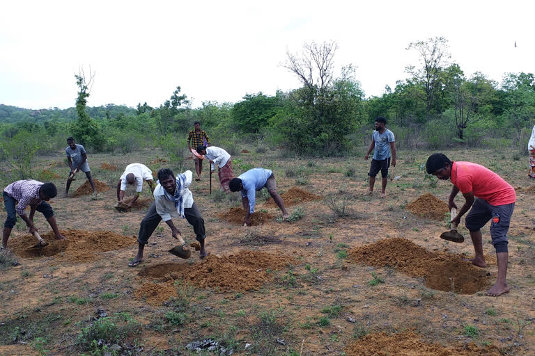 హరితహారం-6 కు వేగంగా ఏర్పాట్లు