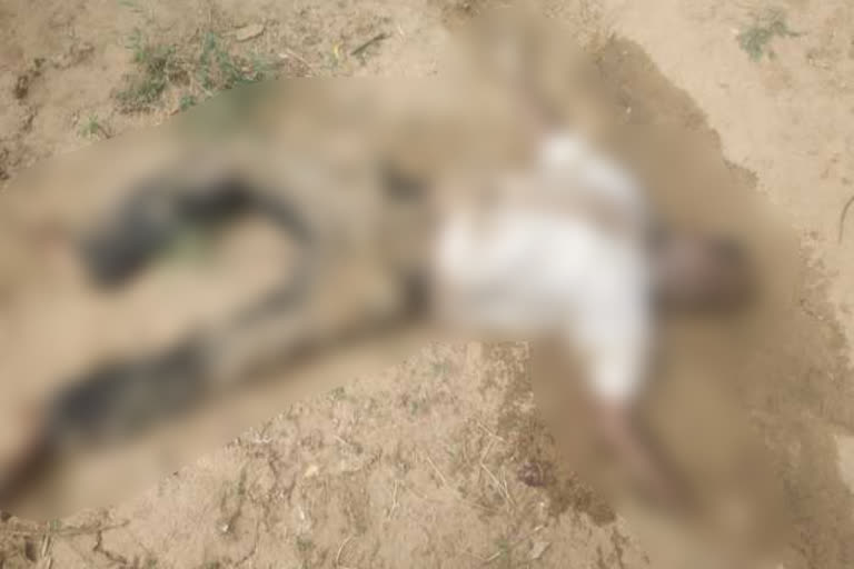 jalore news, dead body found, raniwara police