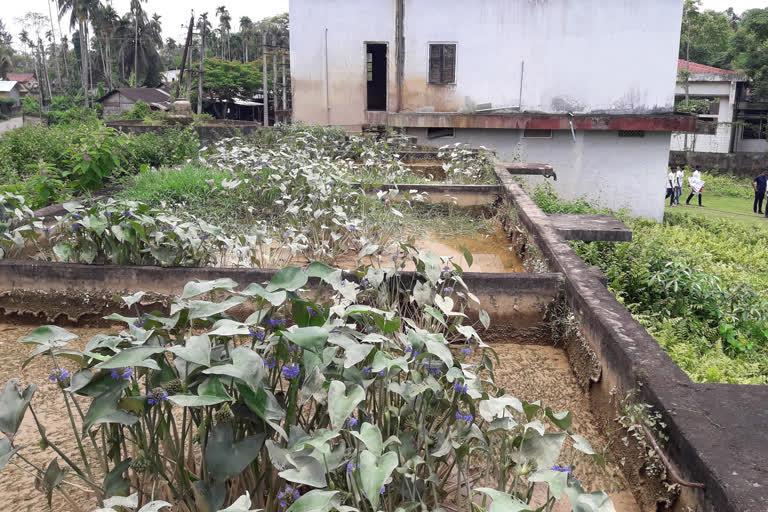 mariani urban water supply aginest protest aasu and local pepole