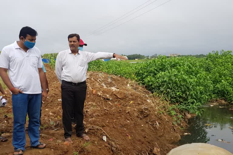 Collector inspected Dalpat Sagar