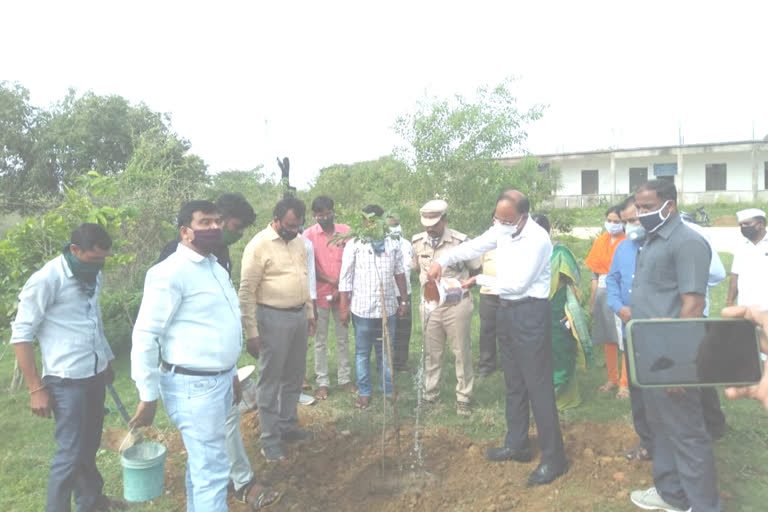 medak collector participated in harithaharam programme