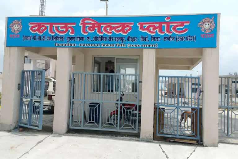 cow milk plant kannauj