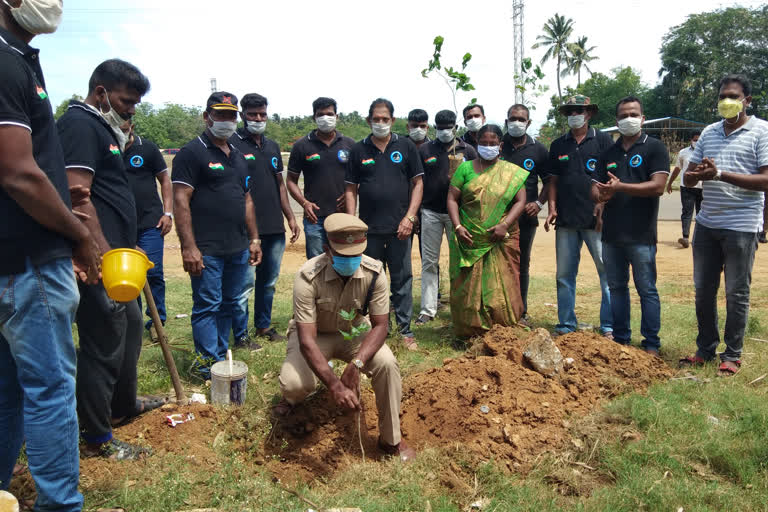 jawan sapling planting