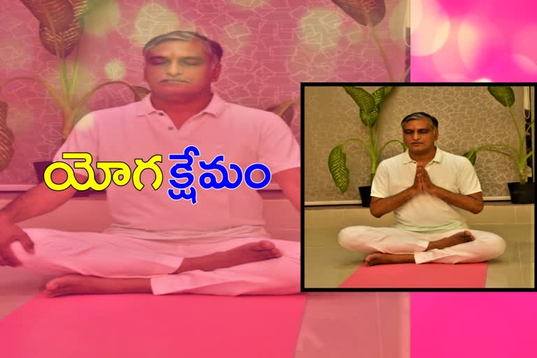 minister-harish-rao-on-international-yoga-day