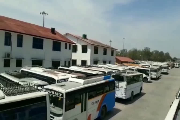 bus