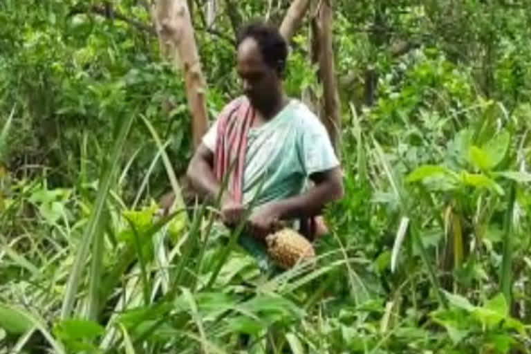 ఉద్యాన పంటలపై కరోనా పిడుగు...ధర లేక రైతు దిగాలు !