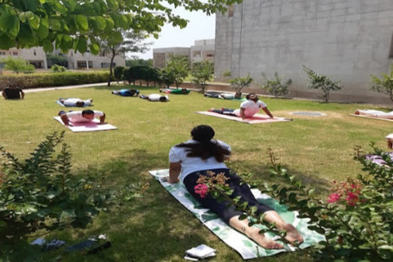 pakistan's indian embassy celebrates yoga day, international yoga day, yoga day in pakistan, pakistan corona update, ପାକିସ୍ତାନସ୍ଥିତ ଭାରତୀୟ ଦୂତାବାସରେ ଯୋଗ ଦିବସ, ଅନ୍ତର୍ଜାତୀୟ ଯୋଗ ଦିବସ, ପାକିସ୍ତାନରେ ଯୋଗ ଦିବସ, ପାକିସ୍ତାନରେ କୋରୋନା ଅପଡେଟ