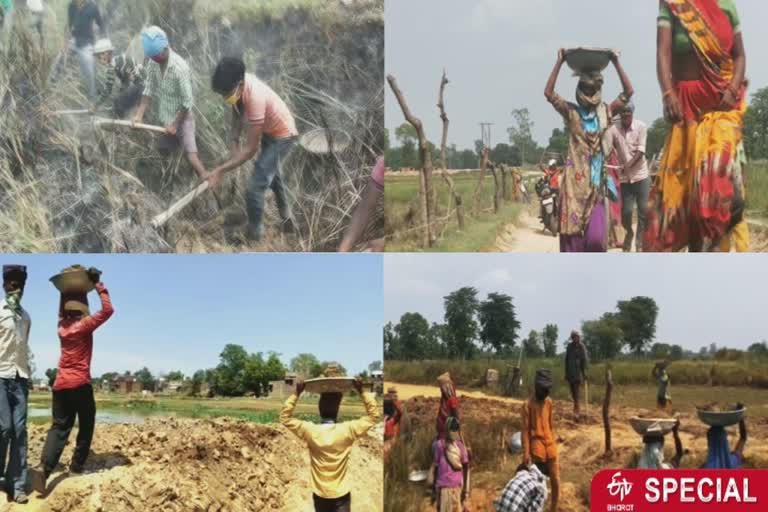 balrampur mgnrega special story