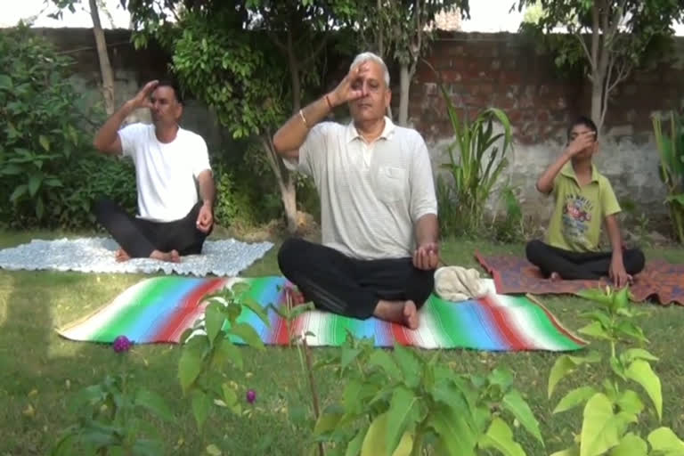 international yoga day celebration hisar