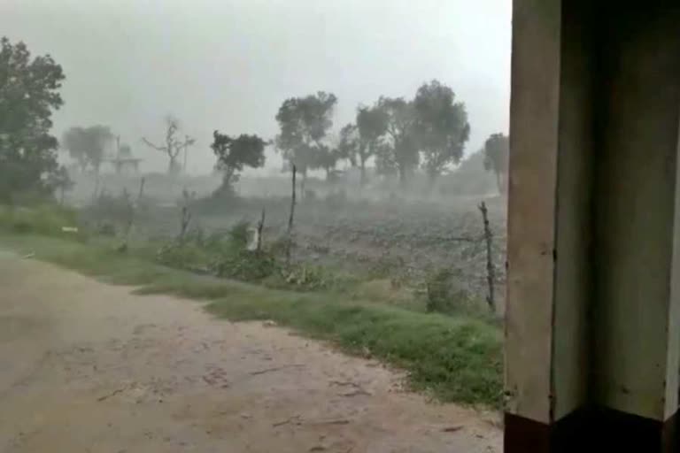 storm and heavy rainfall in hisar