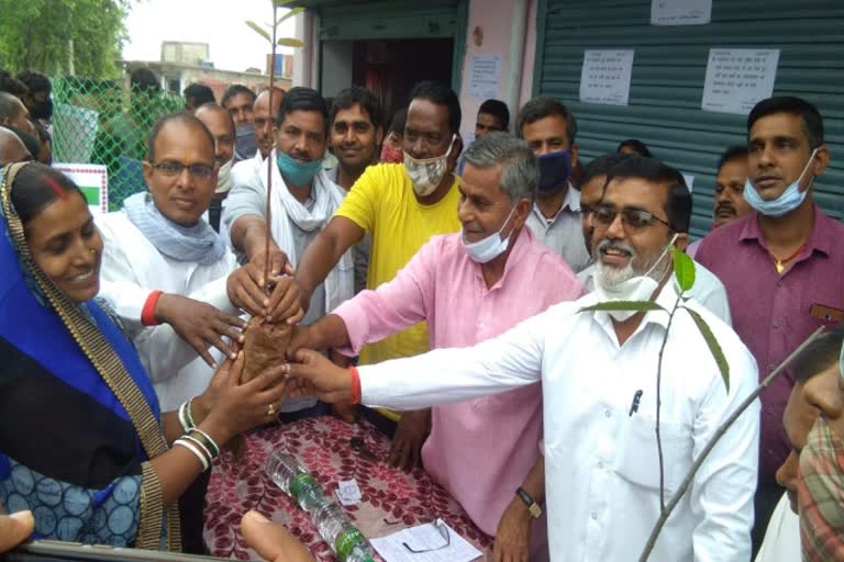 1001 Plant distributed at Swami Vivevanand School in hazaribag