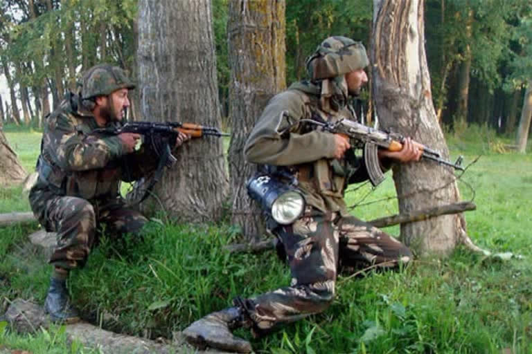 Security forces eliminate terrorist in Jammu and Kashmir's Shopian; operation underway