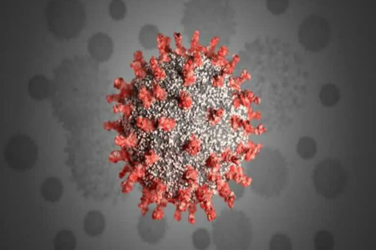 coronavirus